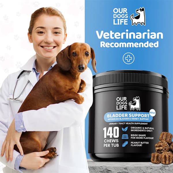 مکمل تقویتی سگ جویدنی بلدر ساپورت اور داگز لایف our dogs life تعداد 140 عدد — تصویر ۳