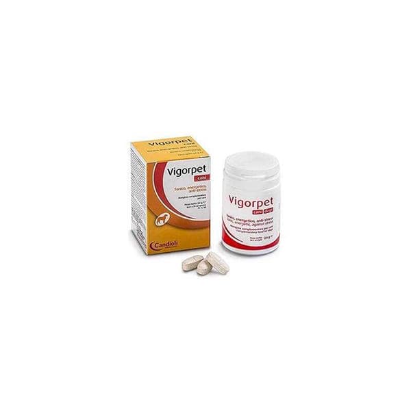 مکمل تقویتی سگ قرص مولتی ویتامین ویگورپت کاندیولی candioli تعداد 20 عدد — تصویر ۳