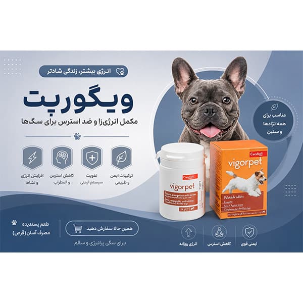 مکمل تقویتی سگ قرص مولتی ویتامین ویگورپت کاندیولی candioli تعداد 20 عدد — تصویر ۴