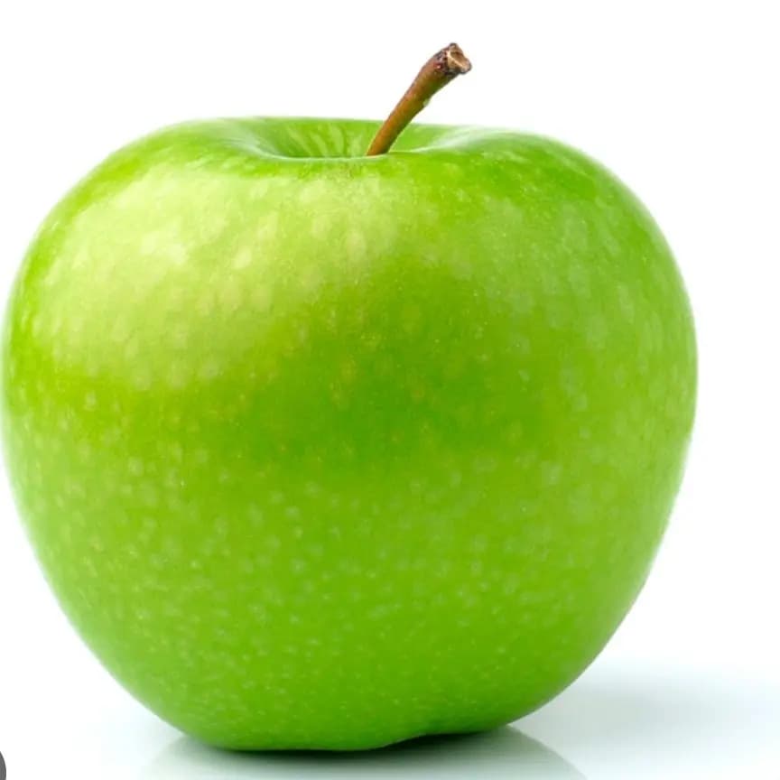 نهال سیب سبز(گلدانی)