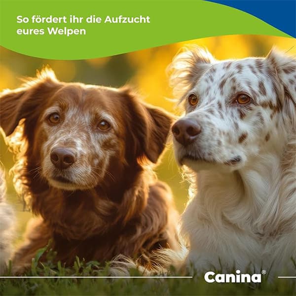 مکمل تقویتی توله سگ پودر فرنی welpenbrei کنینا canina وزن 600 گرم — تصویر ۲