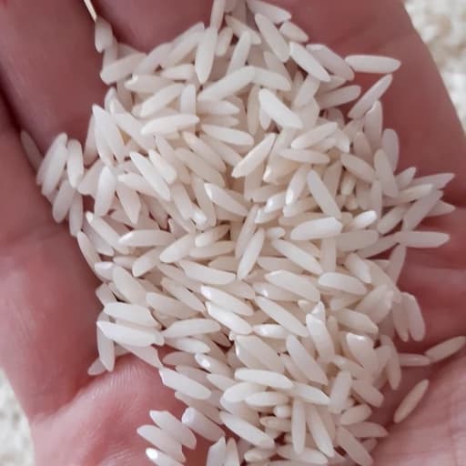 برنج هاشمی آستانه محصول 1405 (10000 گرمی)