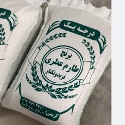 برنج طارم کشت دوم فریدونکنار — تصویر ۲