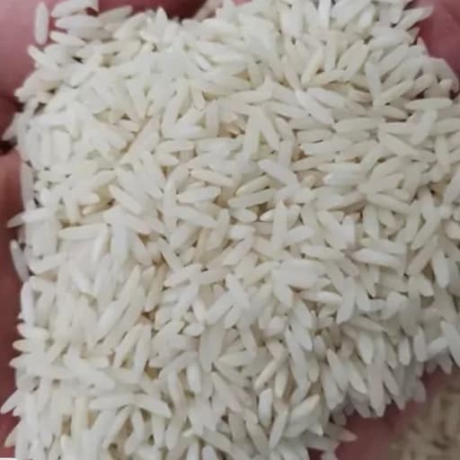 برنج طارم هاشمی 1405