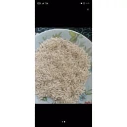 برنج طارم صدری،علی کاظمی دورود — تصویر ۲