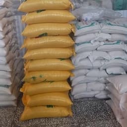 برنج طارم برنجکاران فریدونکنار — تصویر ۲