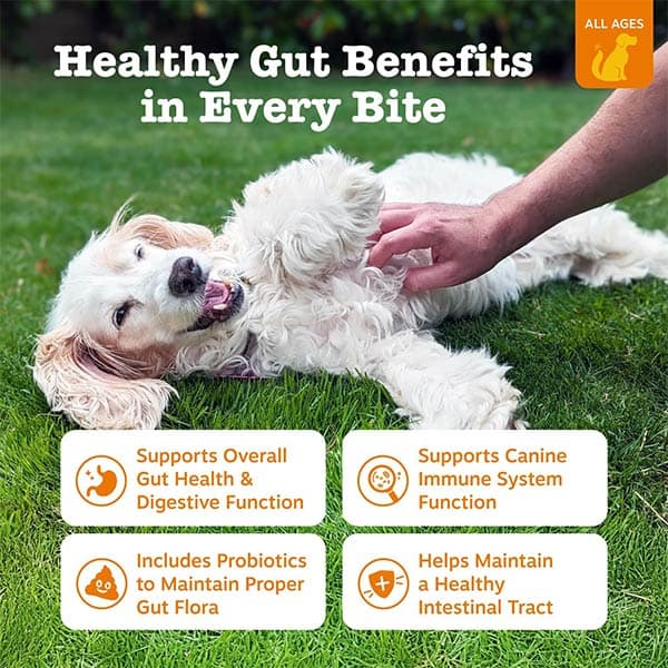 مکمل تقویتی سگ جویدنی پروبیوتیک زستی پاز Zesty Paws تعداد 90 عدد — تصویر ۷