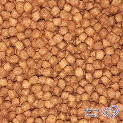 غذای خشک گربه بالغ رفلکس سالمون و آنچوی فله ای – اورجینال (بسته بندی رابینسه) — تصویر ۲