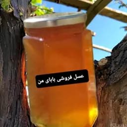 عسل طبیعی آویشن کوهی — تصویر ۲