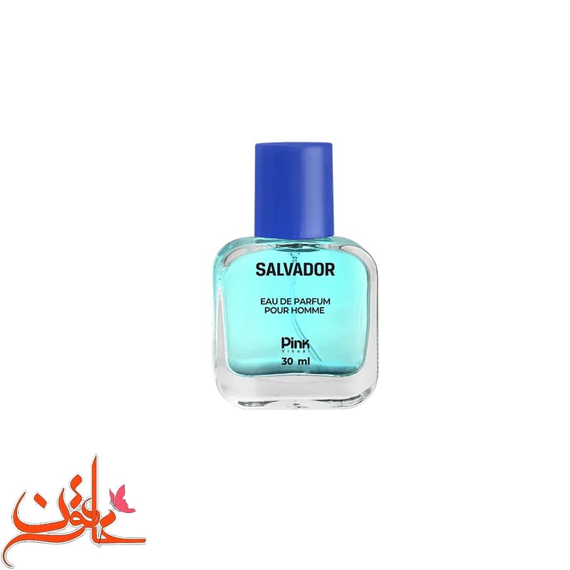 عطر جیبی مردانه پینک ویژوآل مدل Salvador حجم 30 میلی لیتر