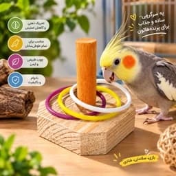 اسباب بازی حلقه فکری — تصویر ۲