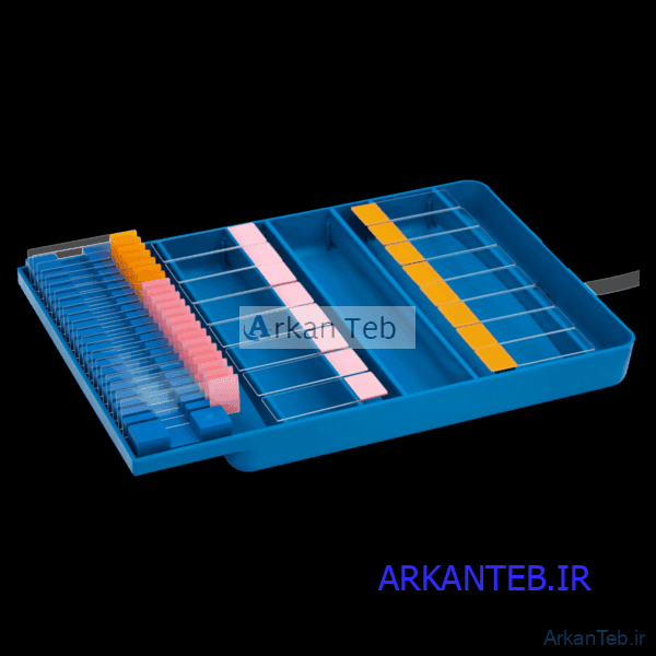 سینی رنگ آمیزی تمام پلاستیک با جای لام شیاردار برند PIP ( ارسال از تهران )