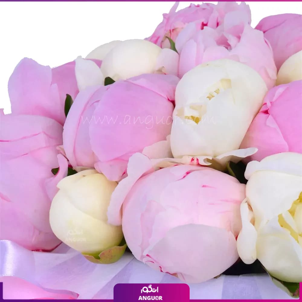 باکس گل پیونی نیک آفرین — تصویر ۲