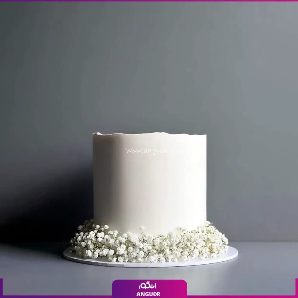 کیک ساده با تزیین ژیپسوفیلا