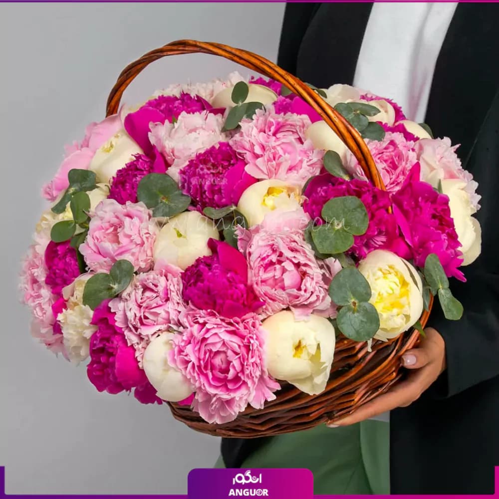 سبد گل پیونی رامش