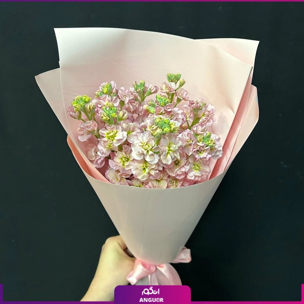 دسته گل شب بوی معطر هلویی 9 شاخه — تصویر ۲