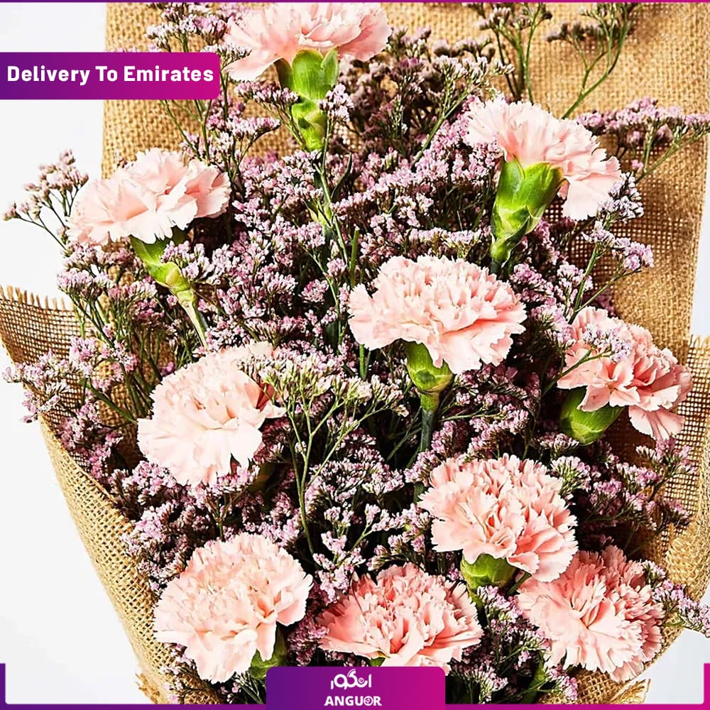 دسته گل هدیه میخک ( تحویل فوری در امارات ) — تصویر ۲
