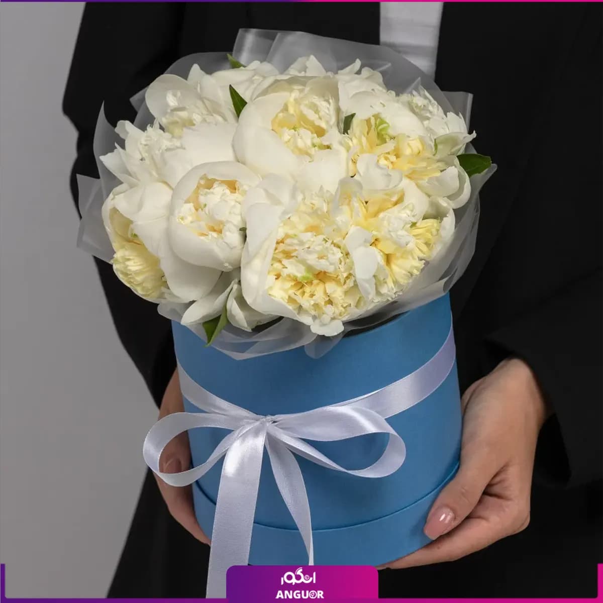 باکس گل پیونی خرامان