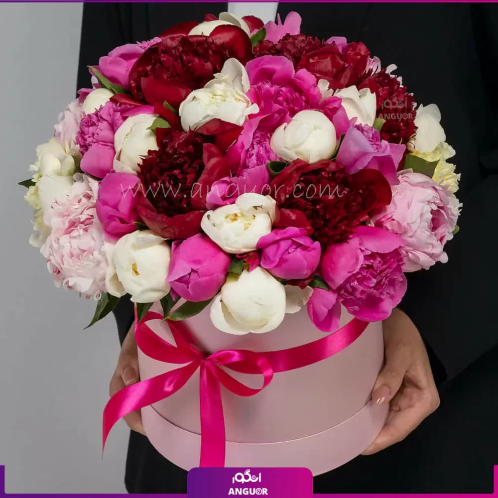 باکس گل پیونی جهان دخت