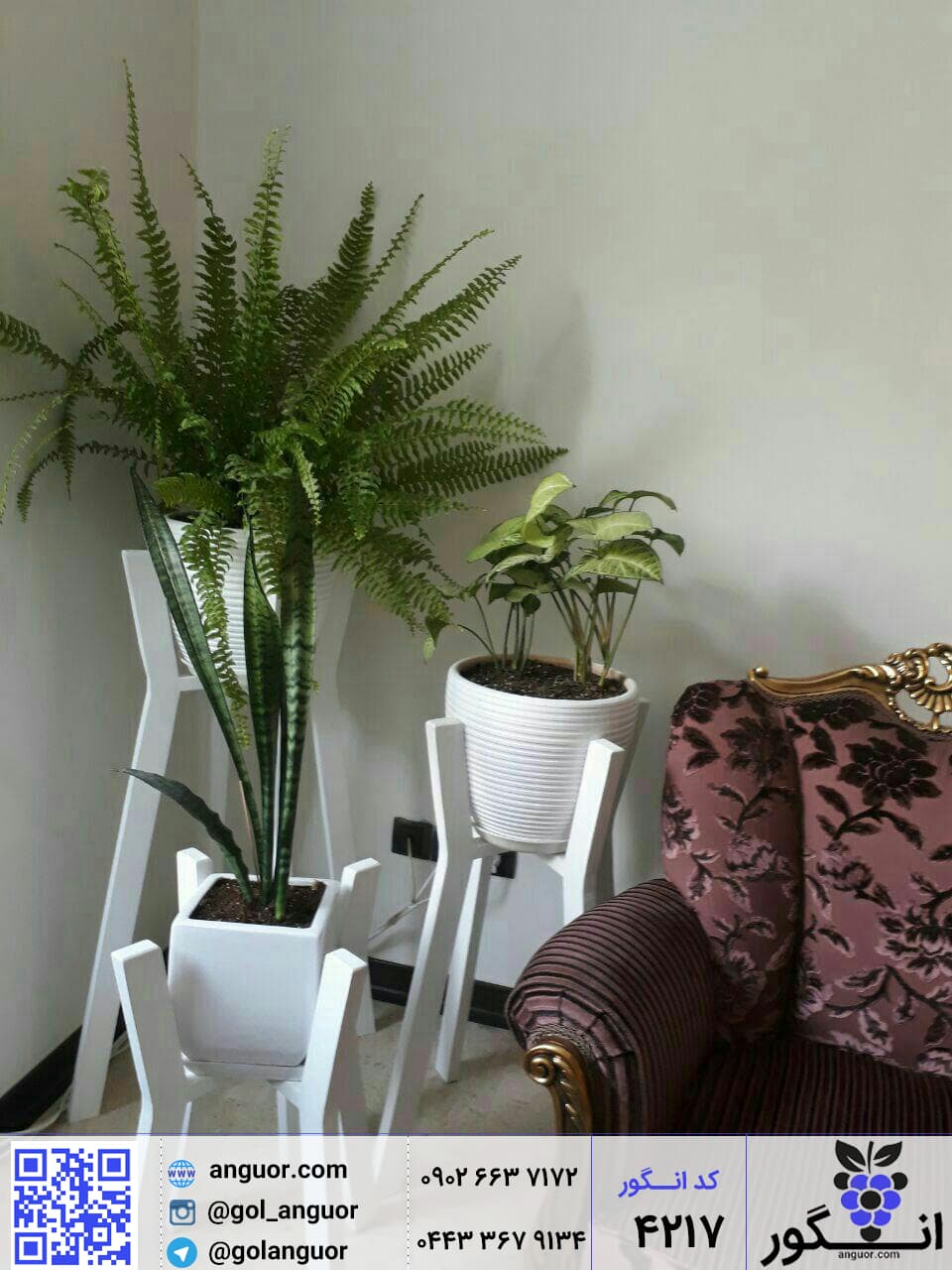استند چوبی گل