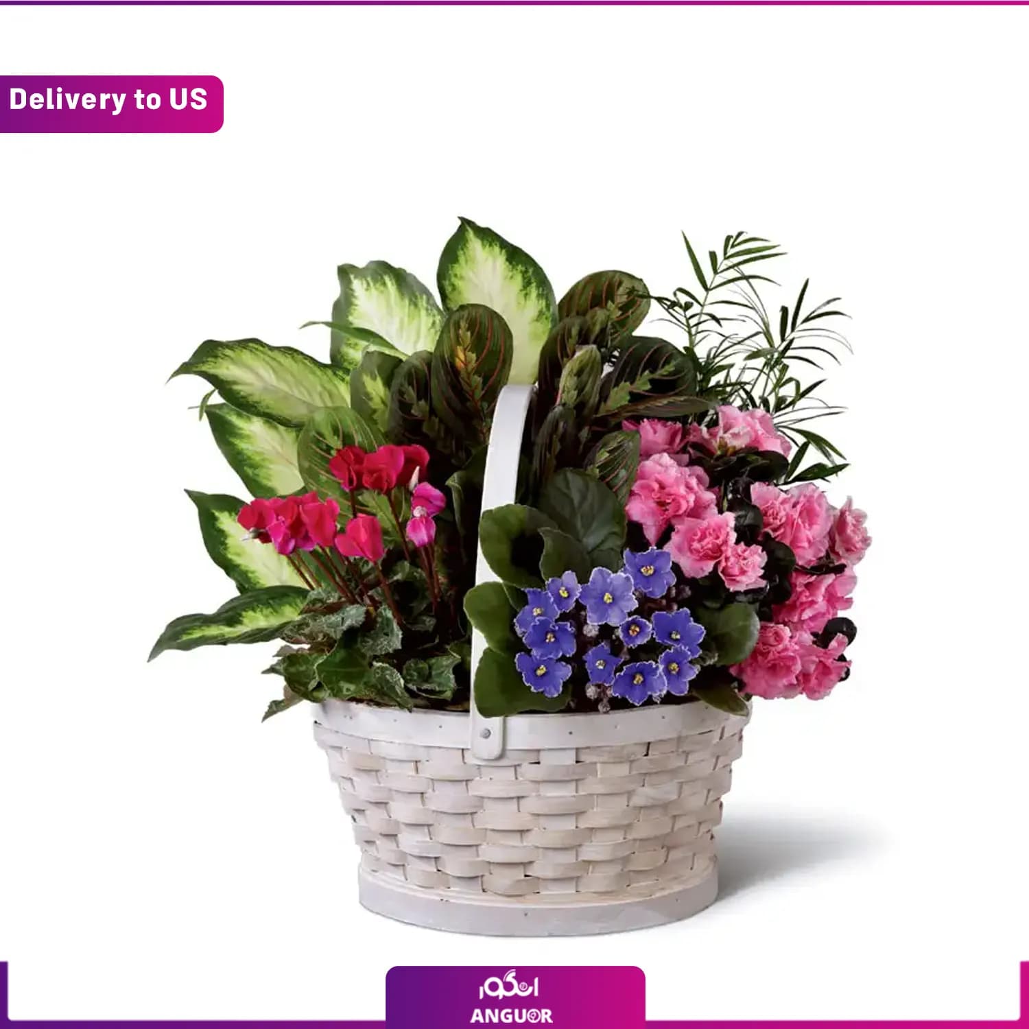 (Delivery to USA) Garden Planter