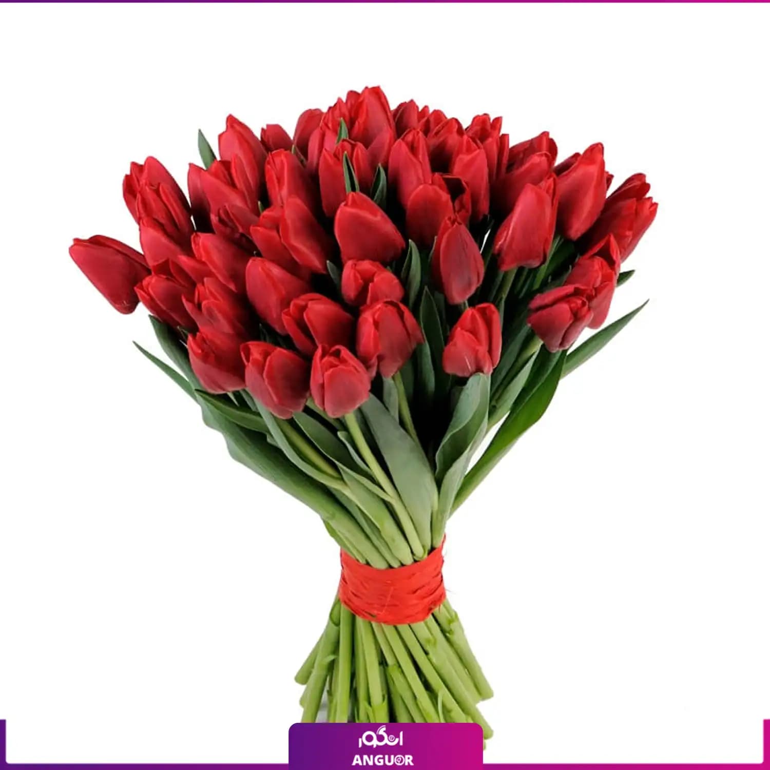 دسته گل عاشقانه لاله قرمز (50 شاخه)