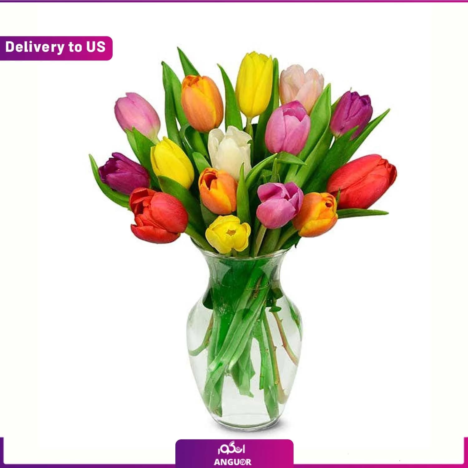 (Delivery to USA) Rainbow Tulip Bouquet