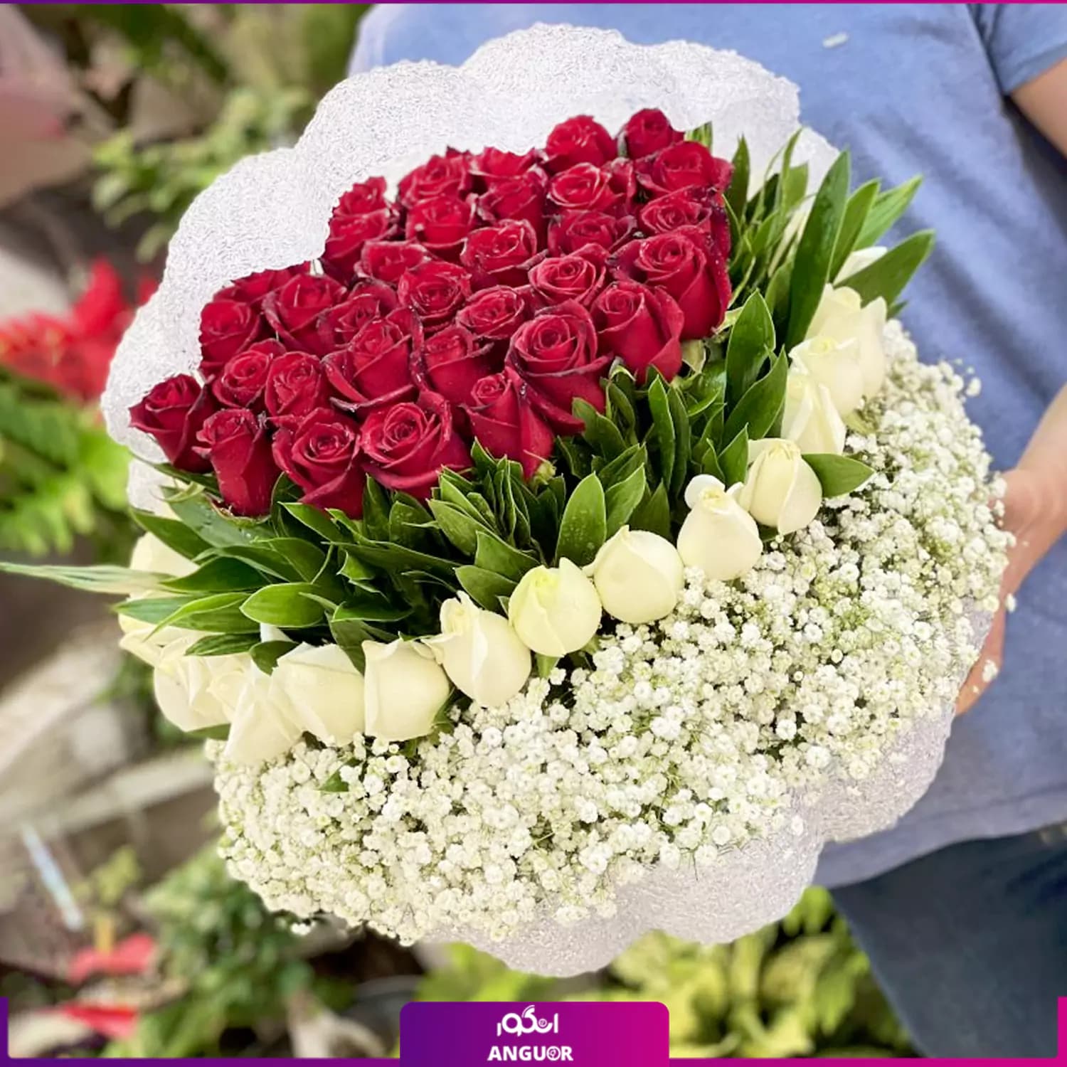 باکس گل صدفی مانلی