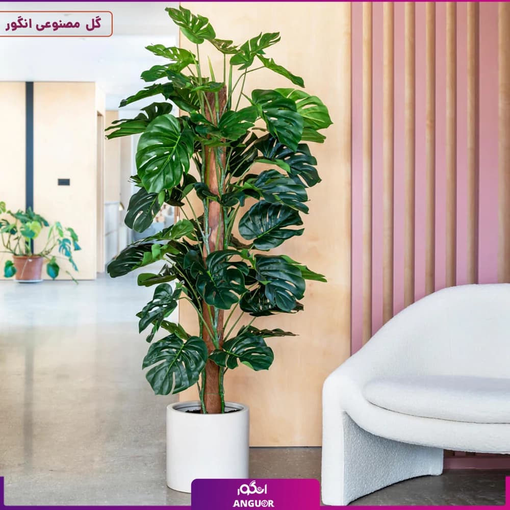 گیاه مصنوعی برگ‌ انجیری – وارداتی (مونسترا)