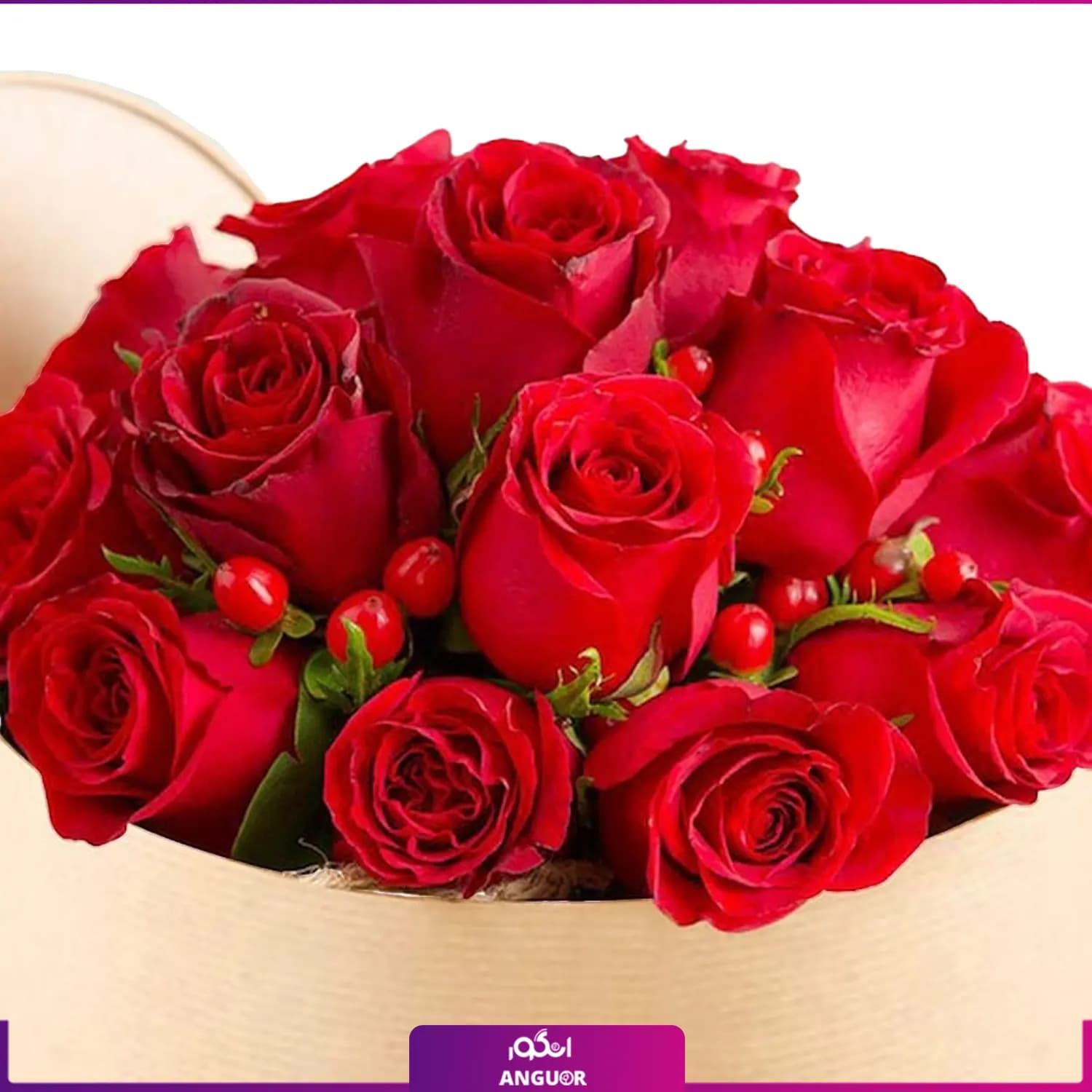 Box of 17 red roses (طرح بین الملل کلاسیک) — تصویر ۶