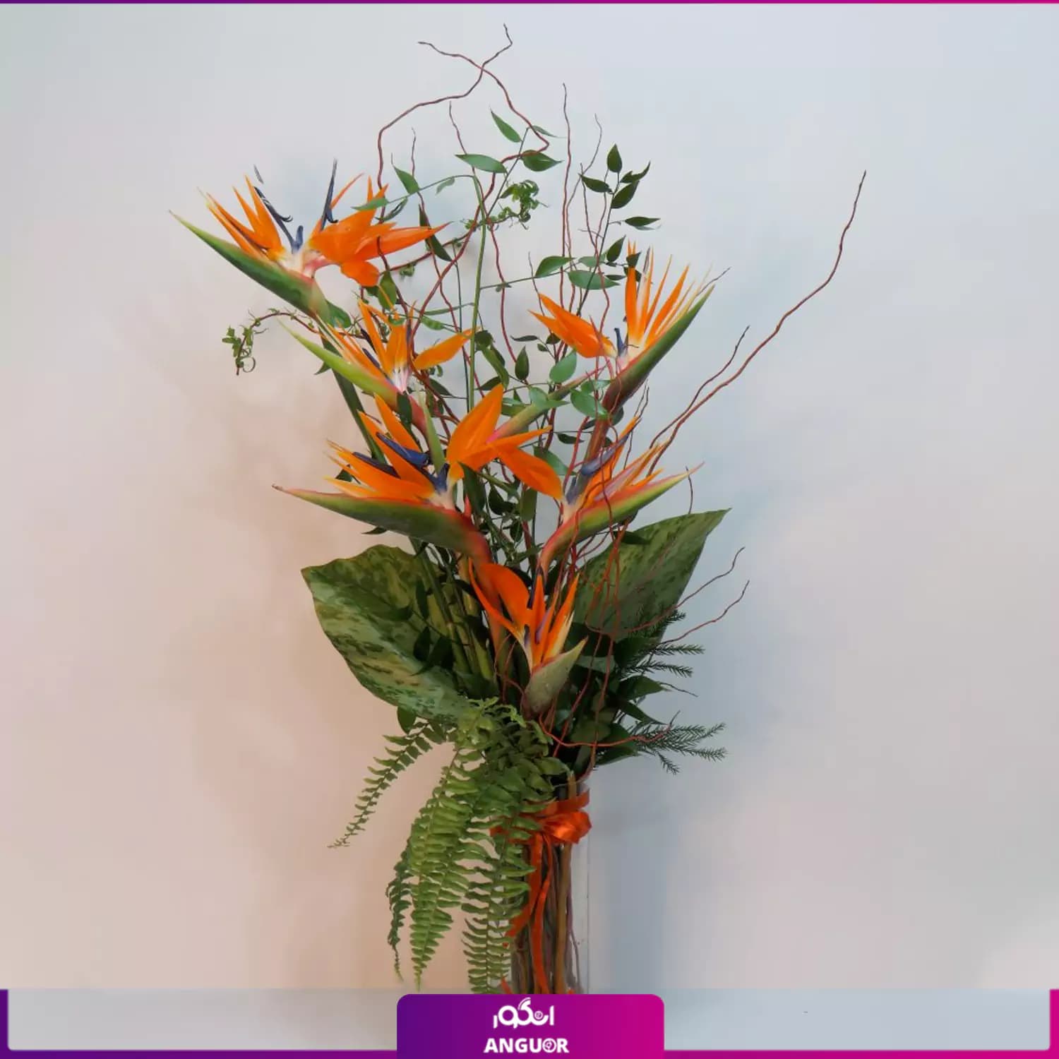 دسته گل پرنده بهشتی با گلدان شیشه ای