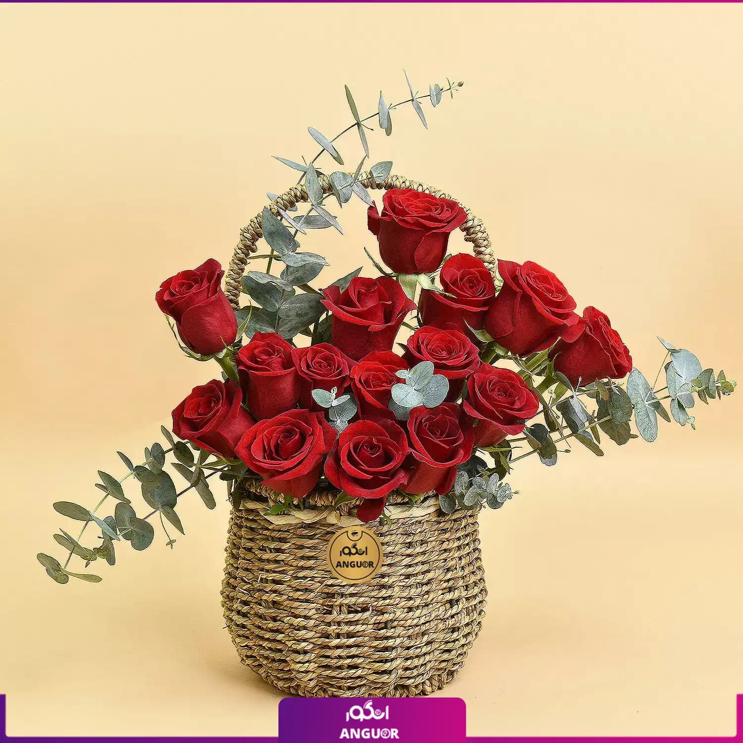 S310 (طرح بین الملل کلاسیک)