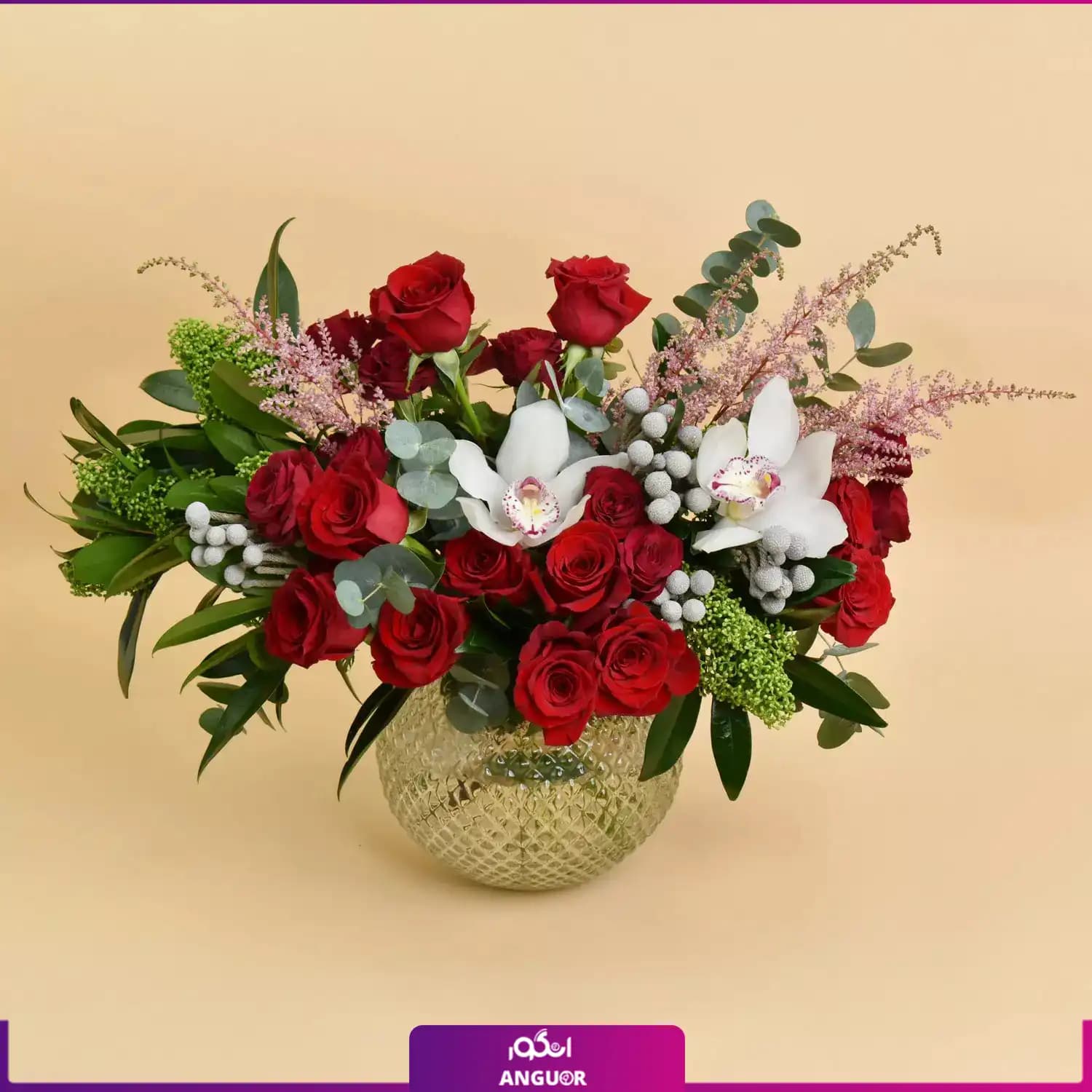 J320 (طرح بین الملل کلاسیک)