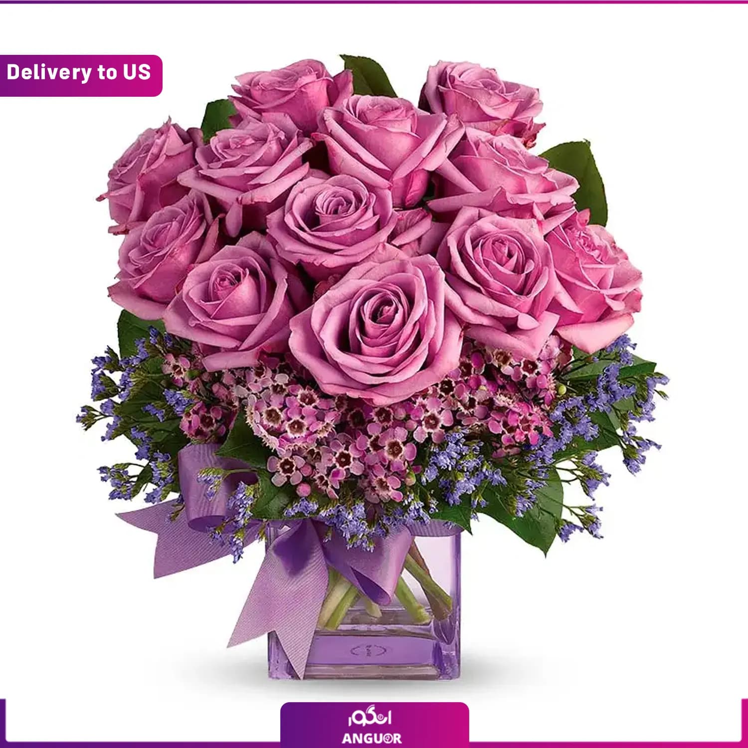 (Delivery to USA) Purple Morning Melody — تصویر ۲