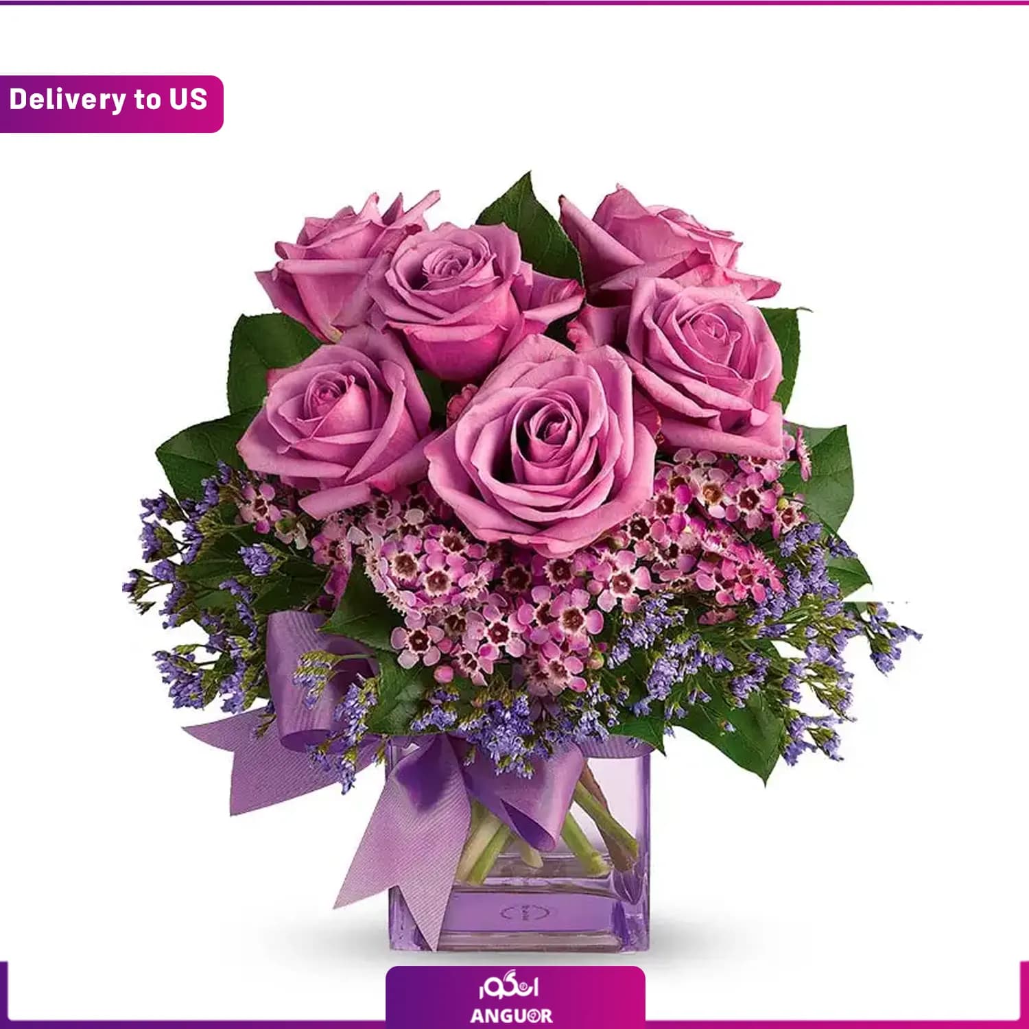 (Delivery to USA) Purple Morning Melody — تصویر ۳