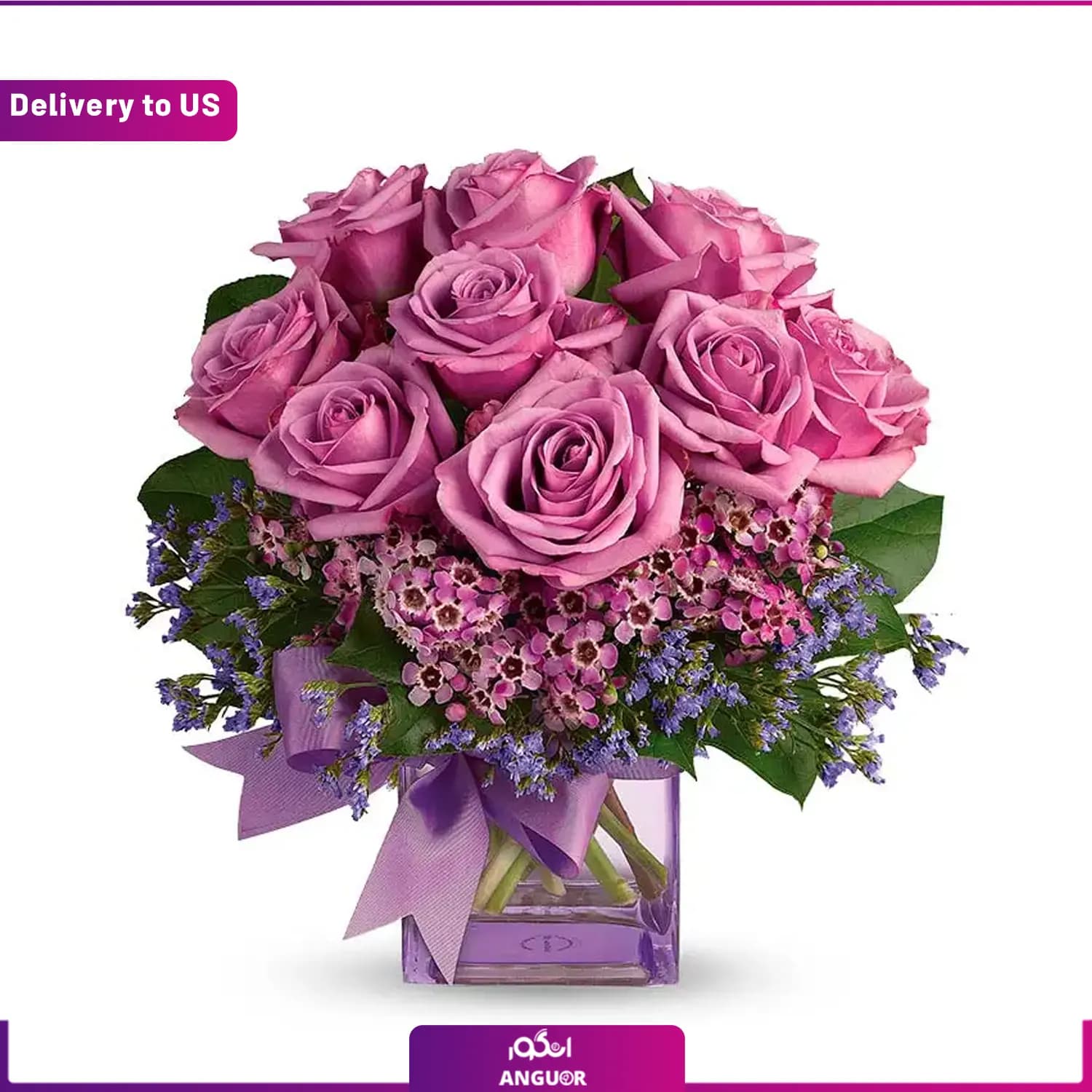 (Delivery to USA) Purple Morning Melody