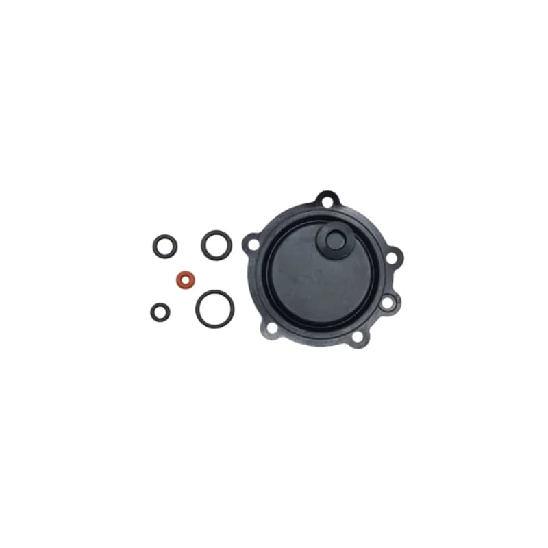کیت سرویس مجموعه رگولاتور آب B5418rs