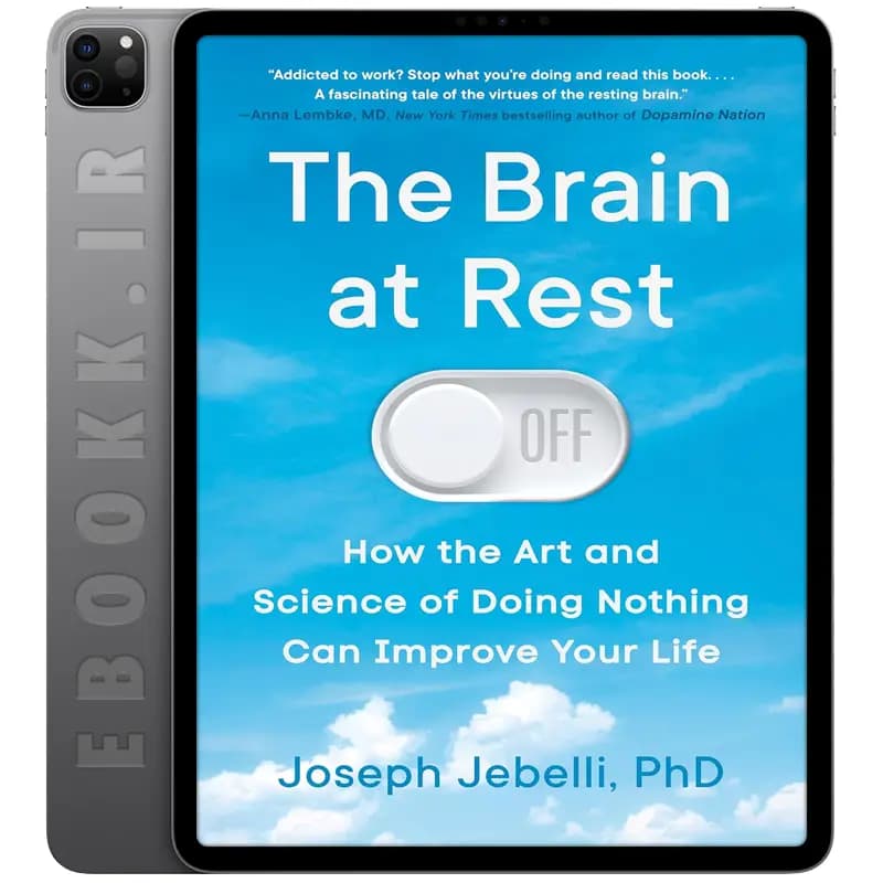 دانلود کتاب The Brain at Rest 2025