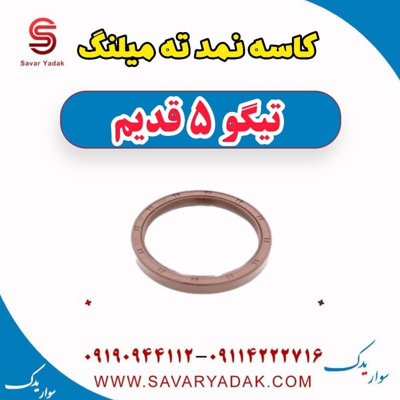 کاسه نمد ته میلنگ تیگو پنج قدیم
