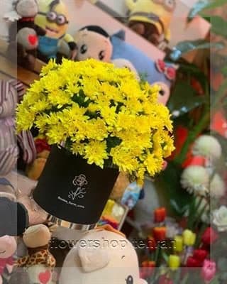 با قیمت گل رز در بازار گل امام رضا فضای سرد و خستهکننده را زنده کن