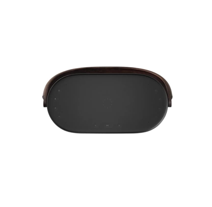 اسپیکر بلوتوثی بنگ اند آلفسن مدل Bang & Olufsen A5 — تصویر ۳