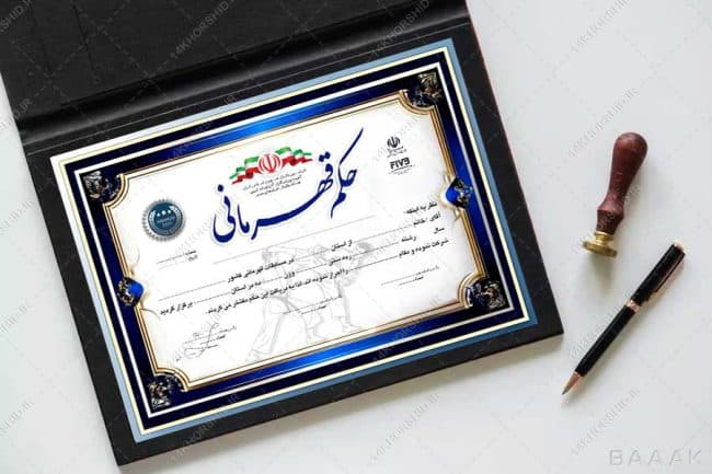 طرح حکم قهرمانی ورزشهای رزمی لایه باز — تصویر ۶