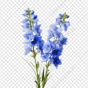مجموعه گل و گلبرگ و غنچه گل PNG سری 4 — تصویر ۲