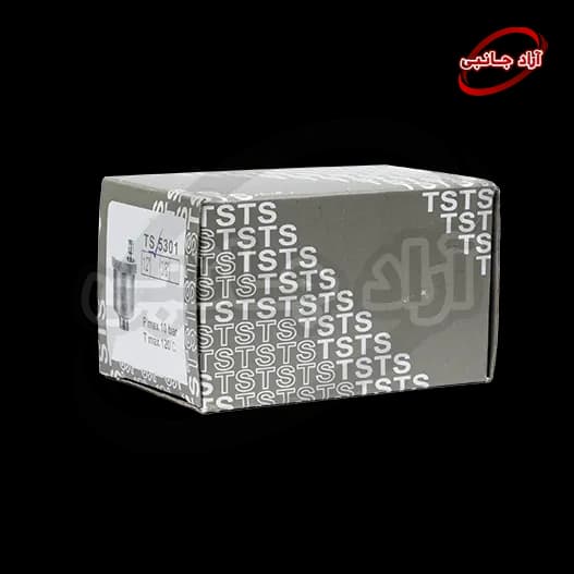 ایرونت برنجی کالدا و آریستون — تصویر ۳