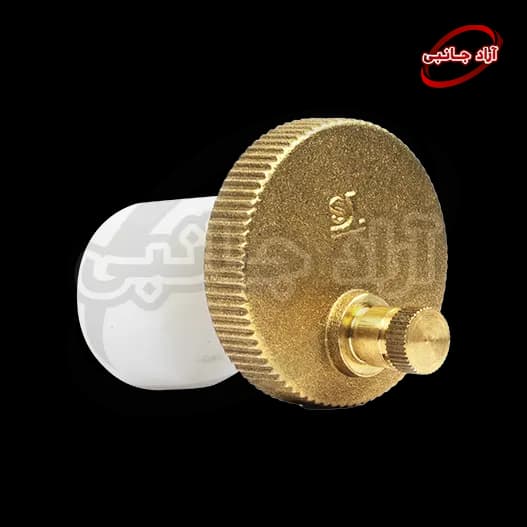 ایرونت برنجی کالدا و آریستون — تصویر ۲
