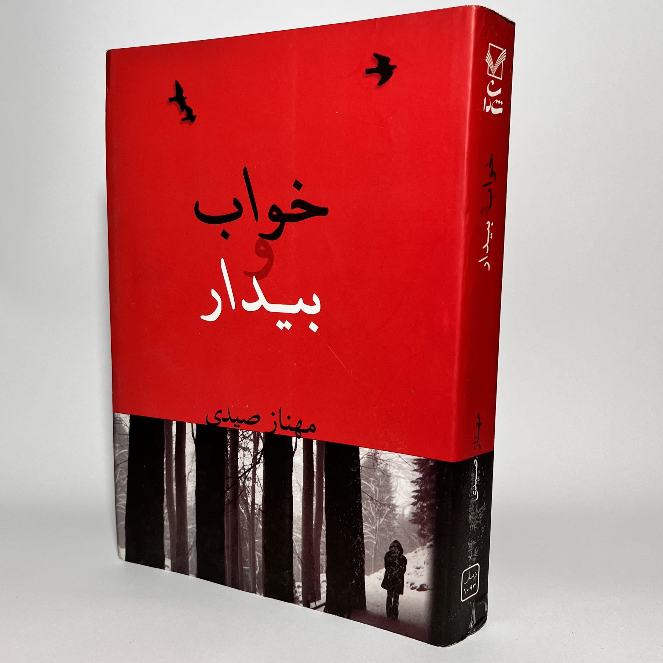 خواب و بیدار اثر مهناز صیدی