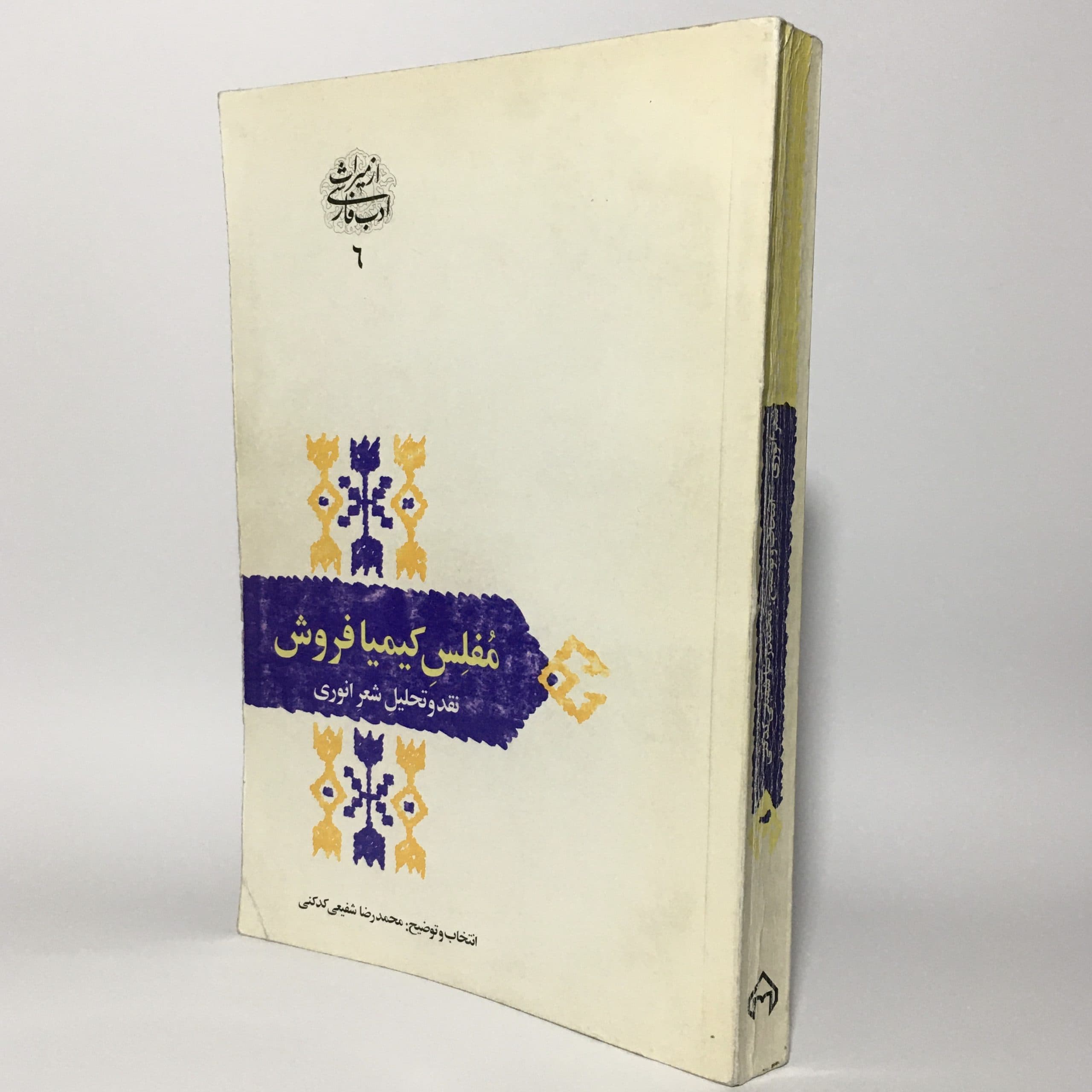 مفلس کیمیا فروش، نقد و تحلیل شعر انوری