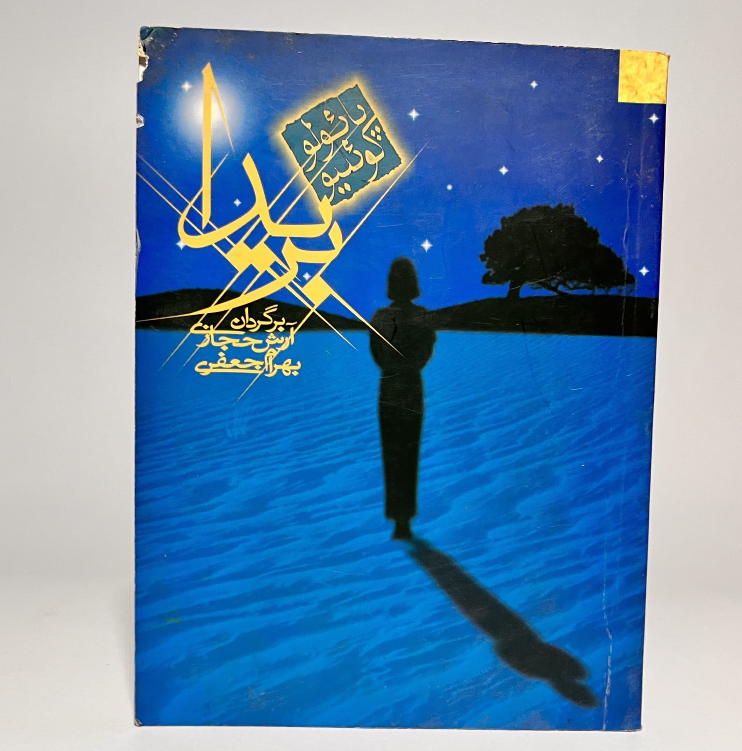 بریدا اثر پائولو کوئیلو، آرش حجازی