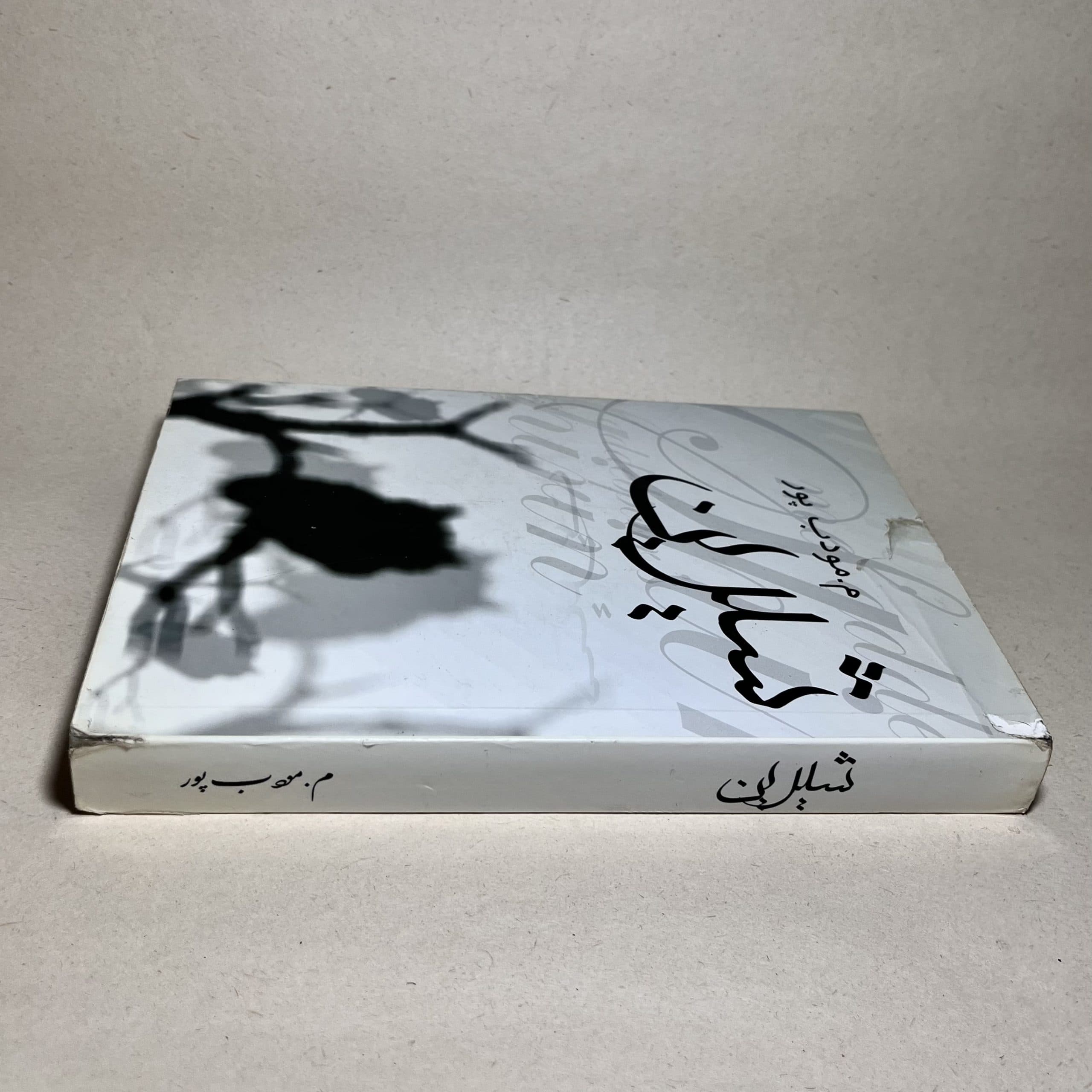 شیرین اثر م. مودب پور — تصویر ۲