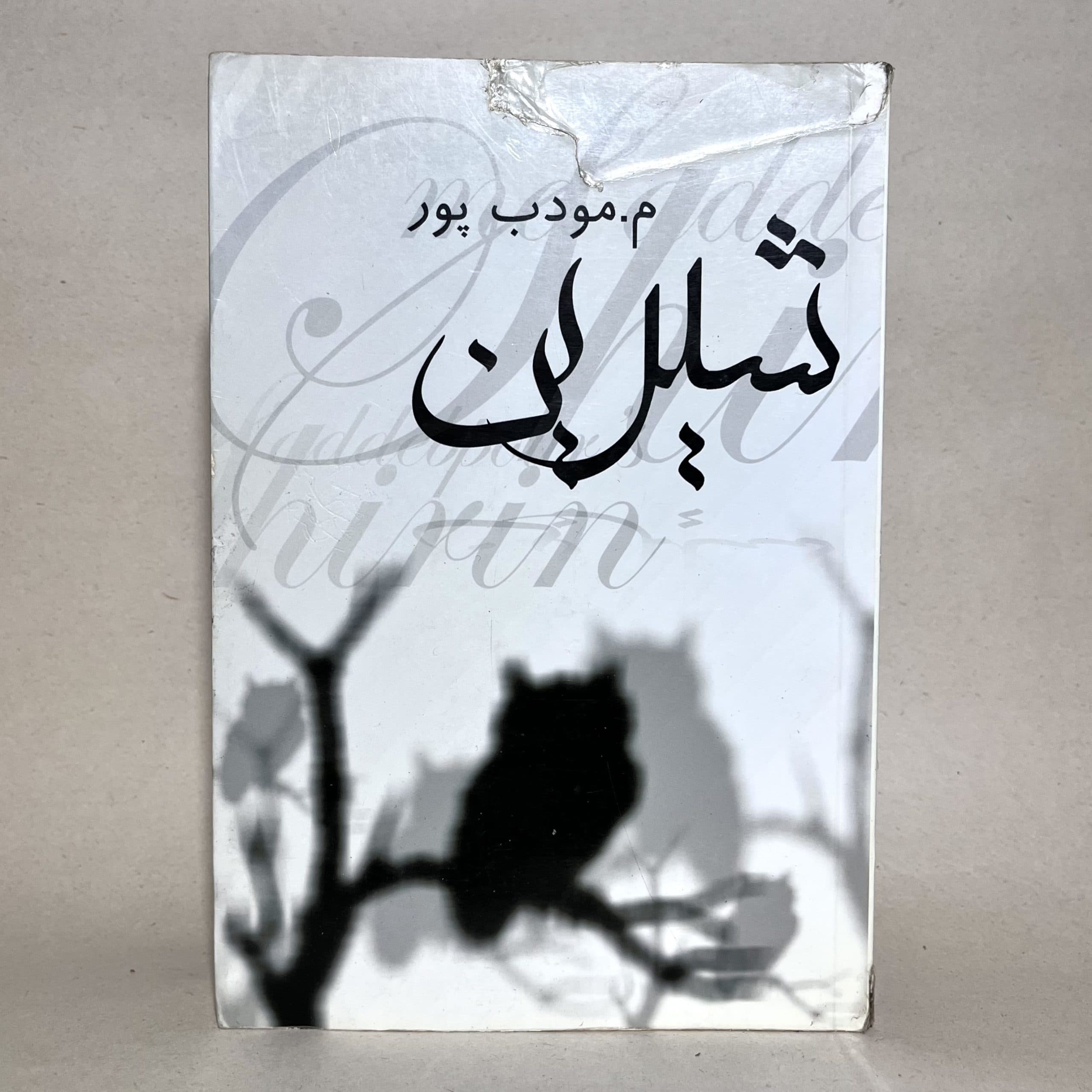 شیرین اثر م. مودب پور